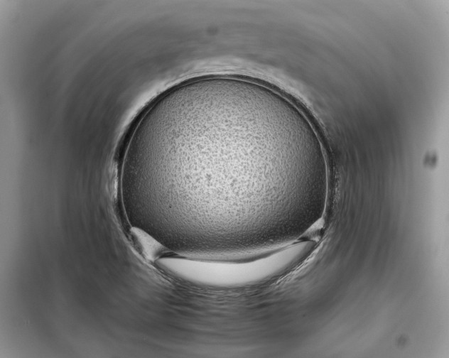 X0000099291509200805161313