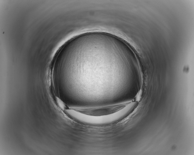 X0000099291510200805161313