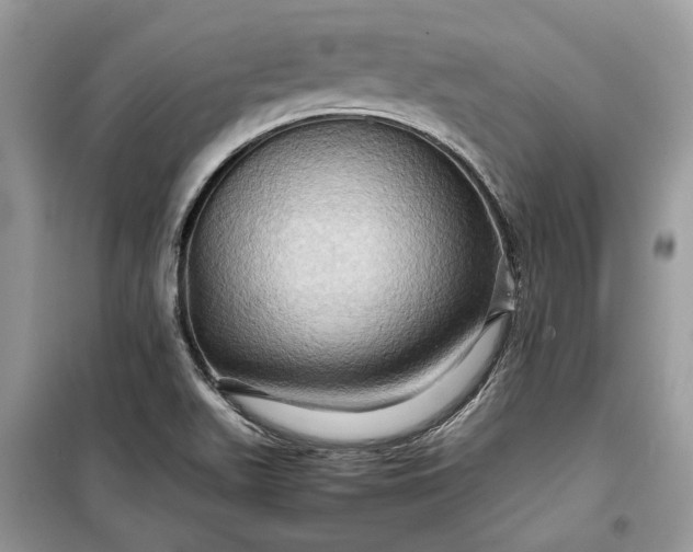 X0000099291511200805161313