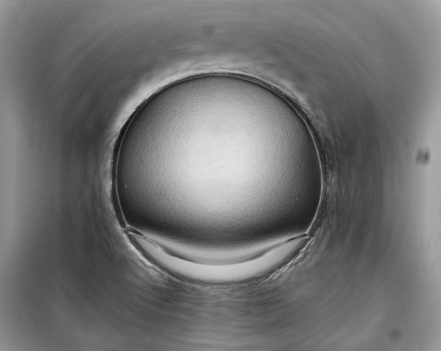 X0000099291512200805161313