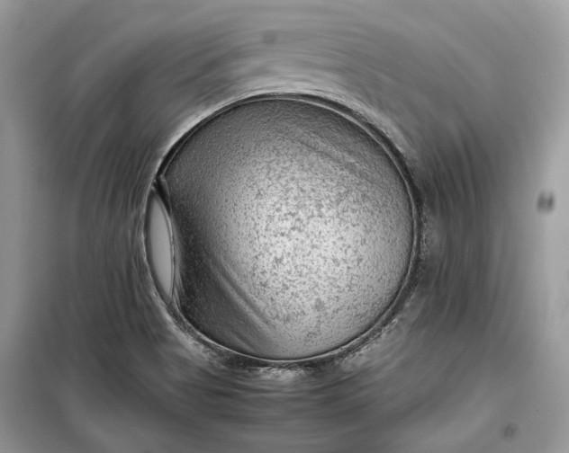 X0000099291513200805161313