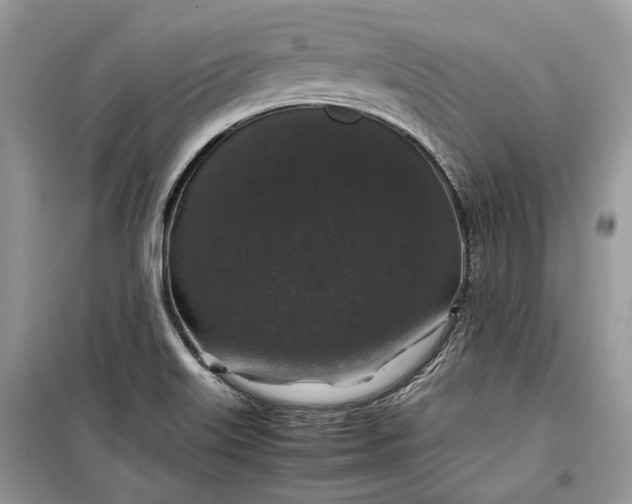 X0000099291515200805161313