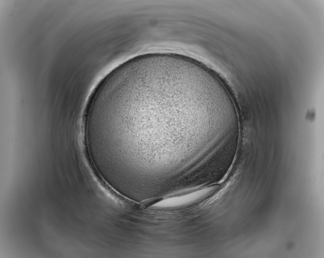 X0000099291517200805161313