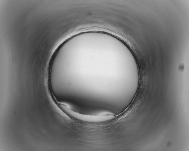 X0000099291518200805161313