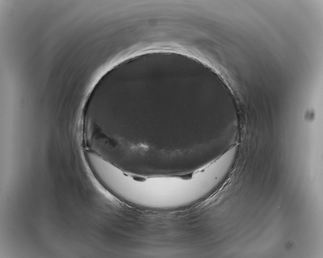 X0000099291519200805161313