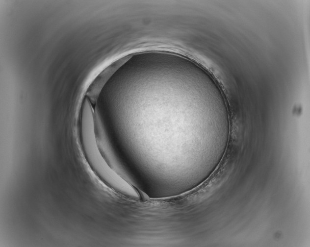 X0000099291520200805161313