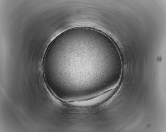 X0000099291521200805161313