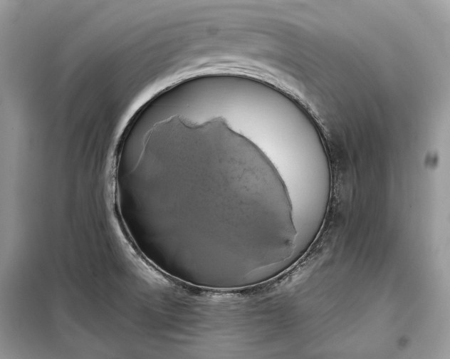 X0000099291522200805161313