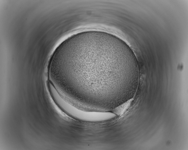 X0000099291523200805161313