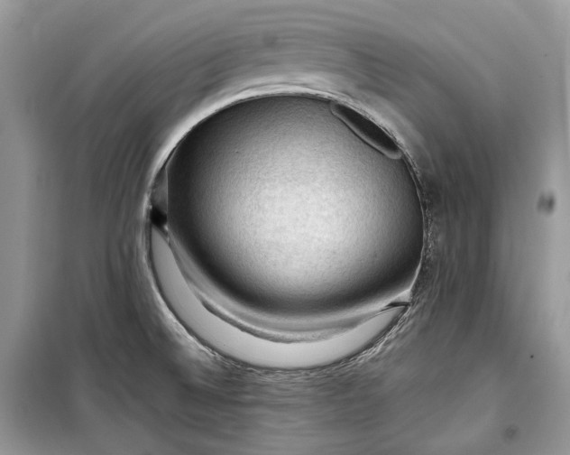 X0000099291524200805161313