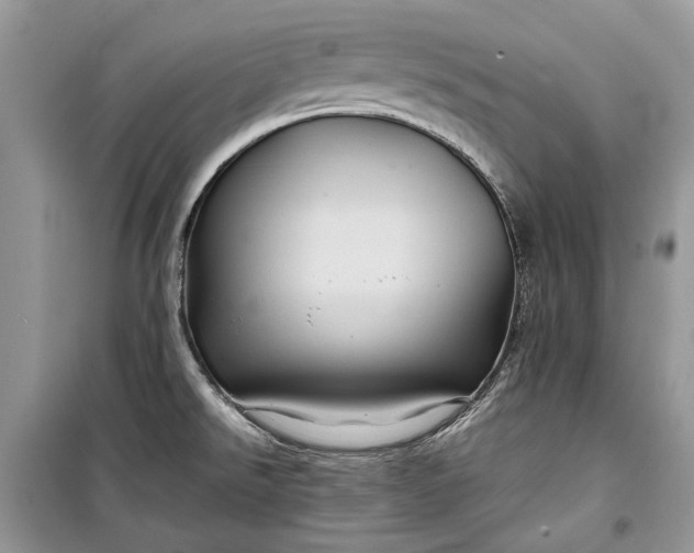 X0000099291526200805161313