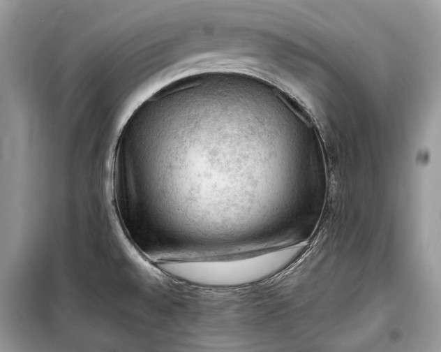 X0000099291528200805161313