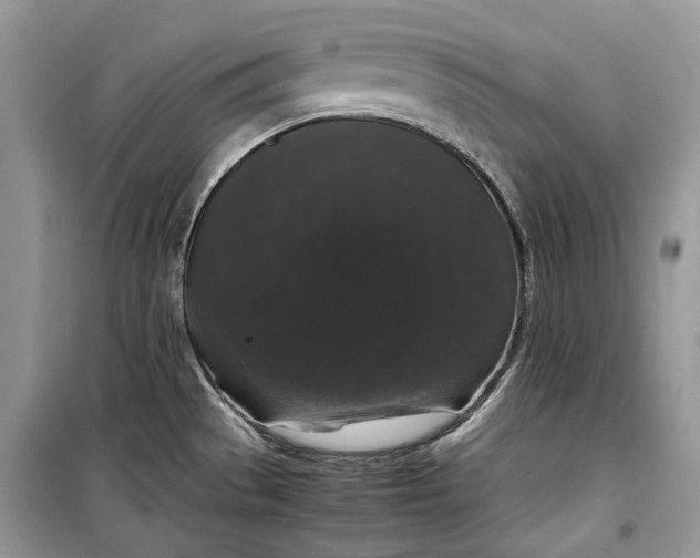 X0000099291529200805161313