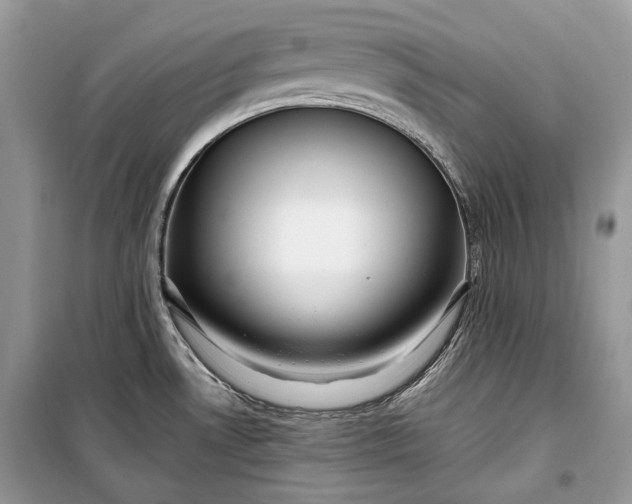 X0000099291530200805161313