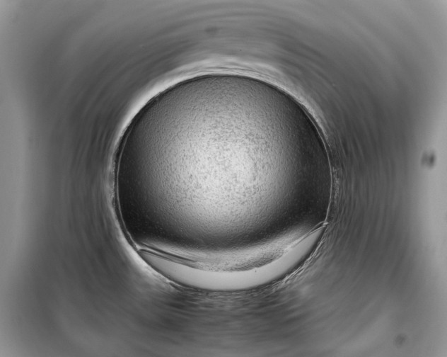 X0000099291531200805161313