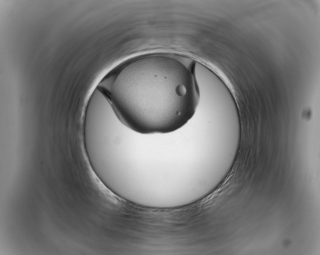 X0000099291532200805161313