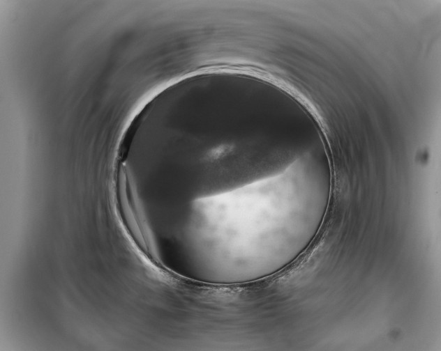 X0000099291533200805161313