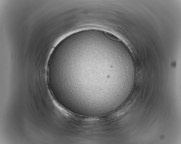 X0000099291535200805161313