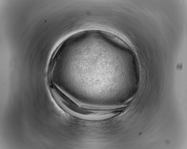 X0000099291536200805161313