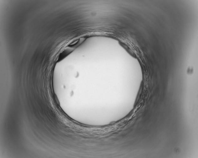 X0000099290001200805231330