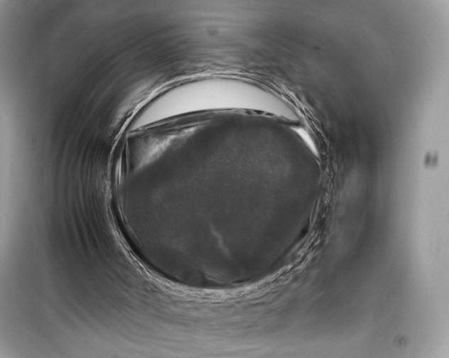 X0000099290002200805231330