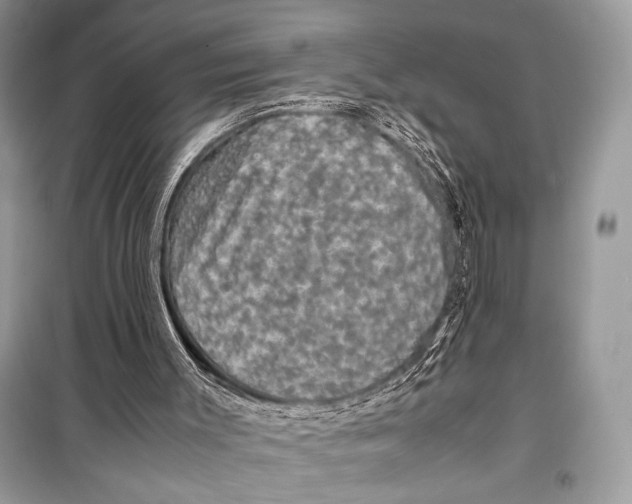 X0000099290003200805231330