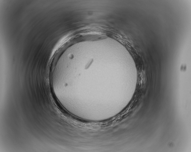 X0000099290004200805231330