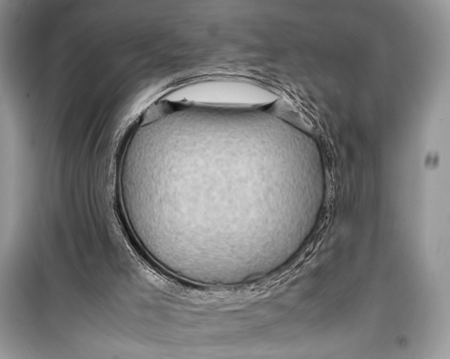 X0000099290005200805231330