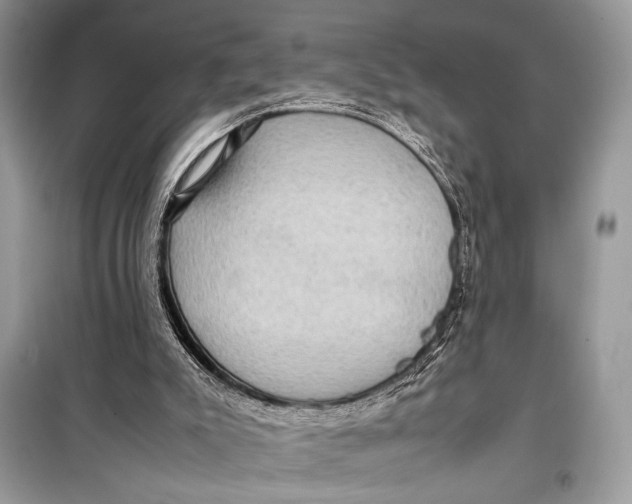 X0000099290007200805231330