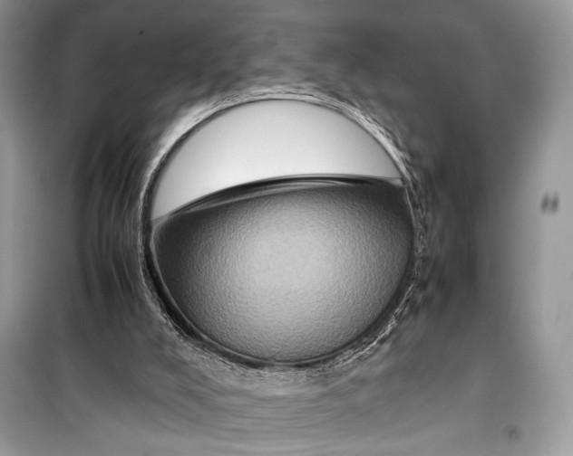 X0000099290008200805231330