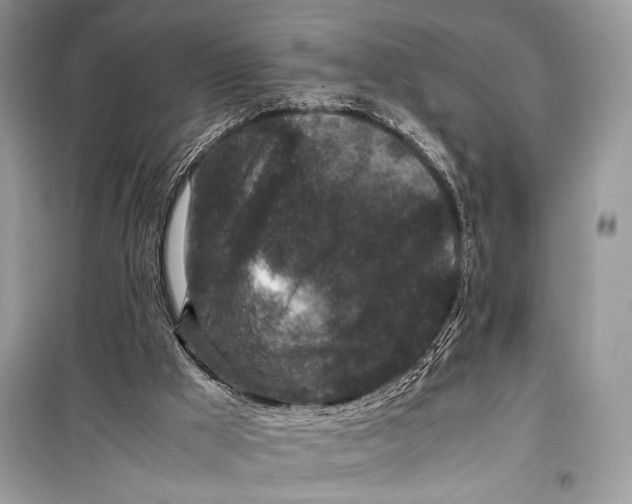 X0000099290009200805231330