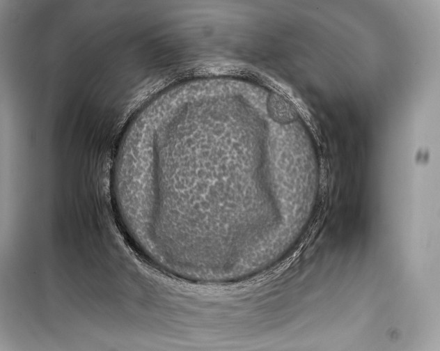 X0000099290010200805231330