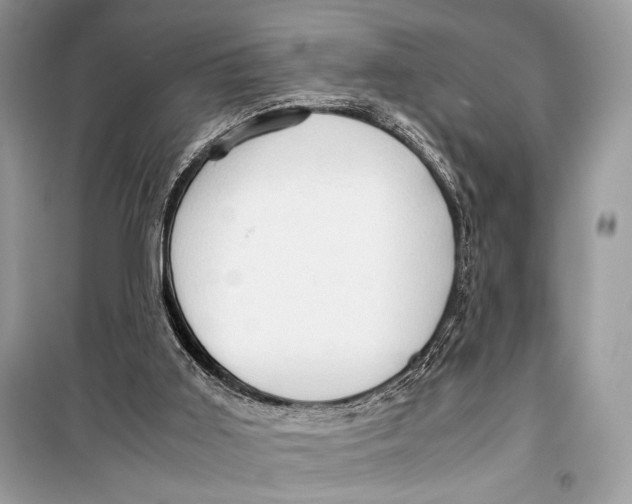 X0000099290011200805231330