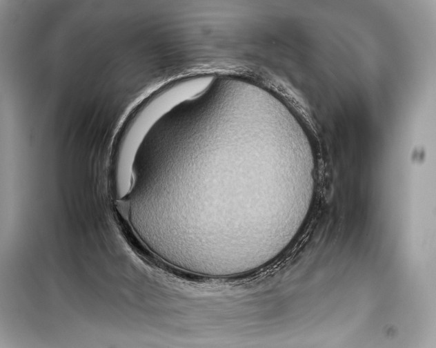 X0000099290012200805231330