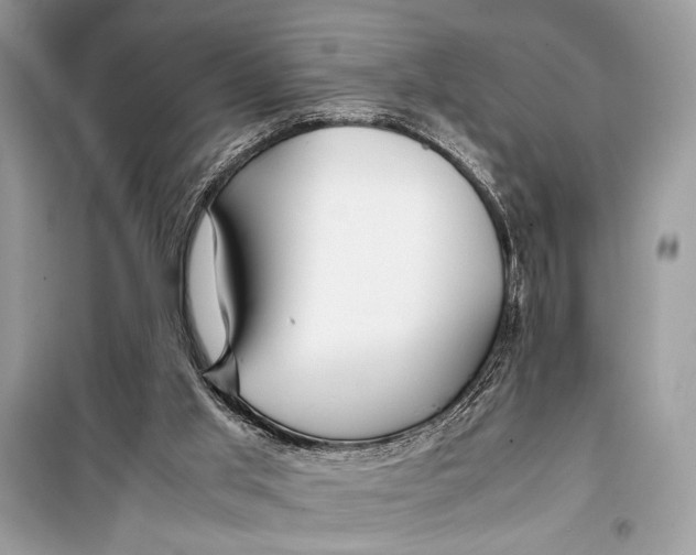 X0000099290013200805231330