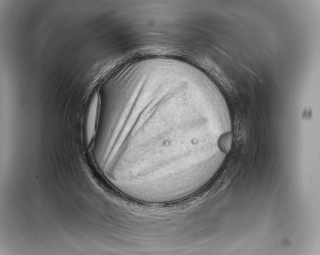 X0000099290014200805231330