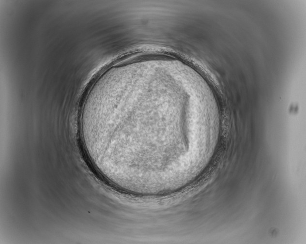 X0000099290015200805231330