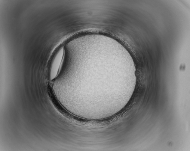 X0000099290016200805231330