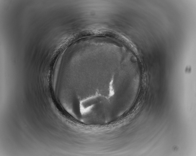 X0000099290018200805231330