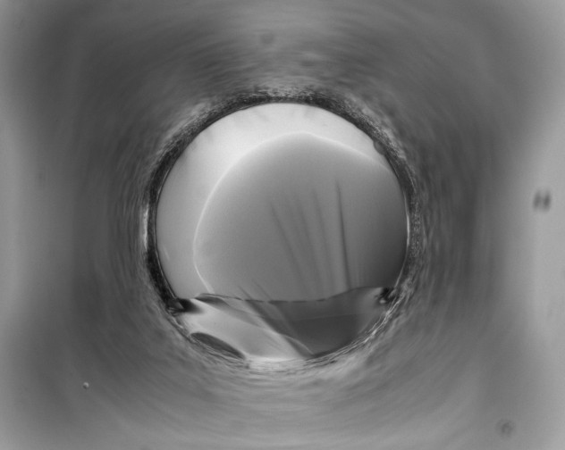 X0000099290019200805231330