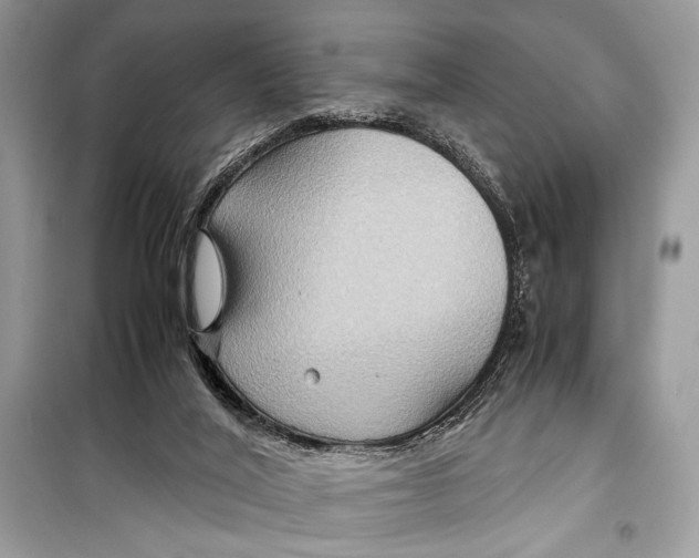 X0000099290020200805231330