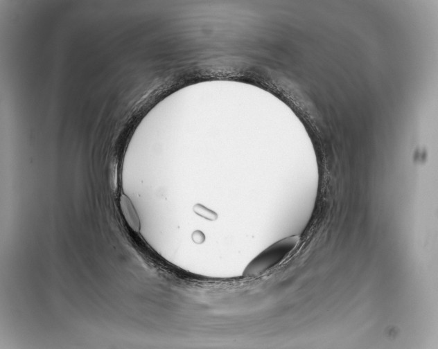 X0000099290021200805231330