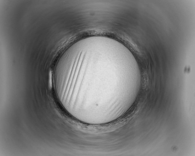 X0000099290022200805231330