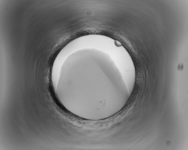 X0000099290023200805231330