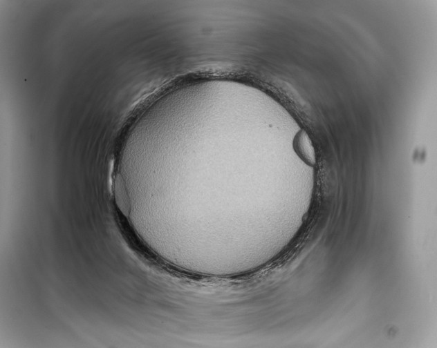 X0000099290024200805231330