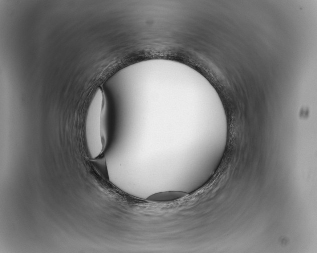 X0000099290025200805231330