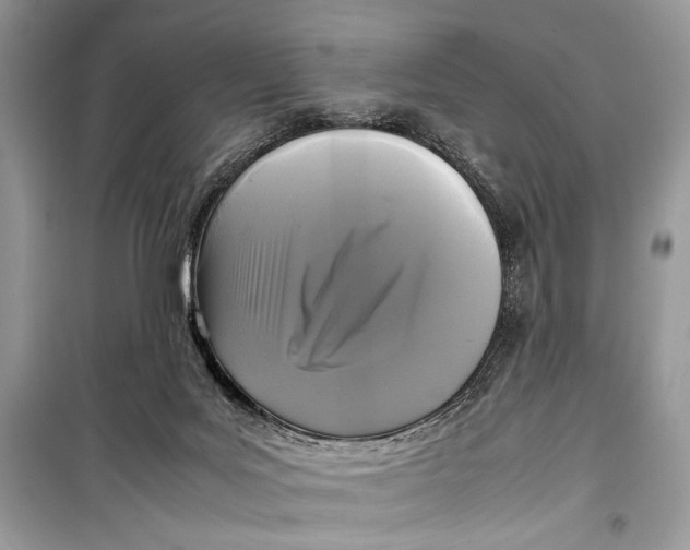 X0000099290027200805231330