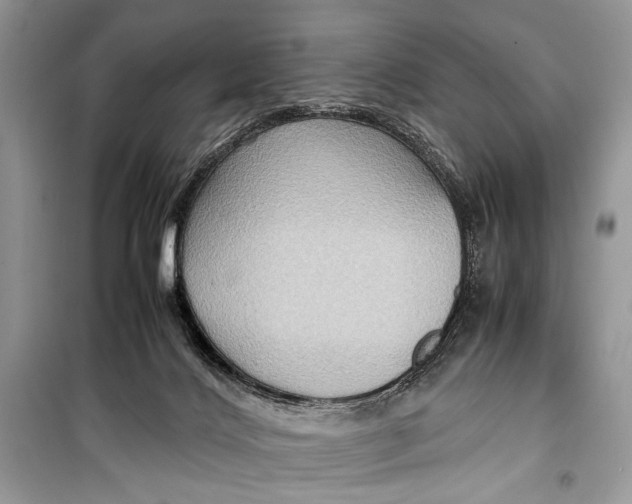 X0000099290028200805231330