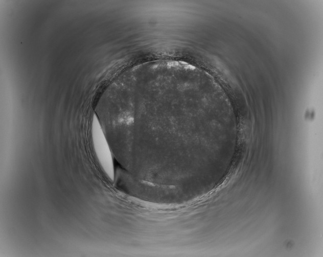 X0000099290029200805231330