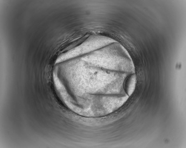 X0000099290030200805231330